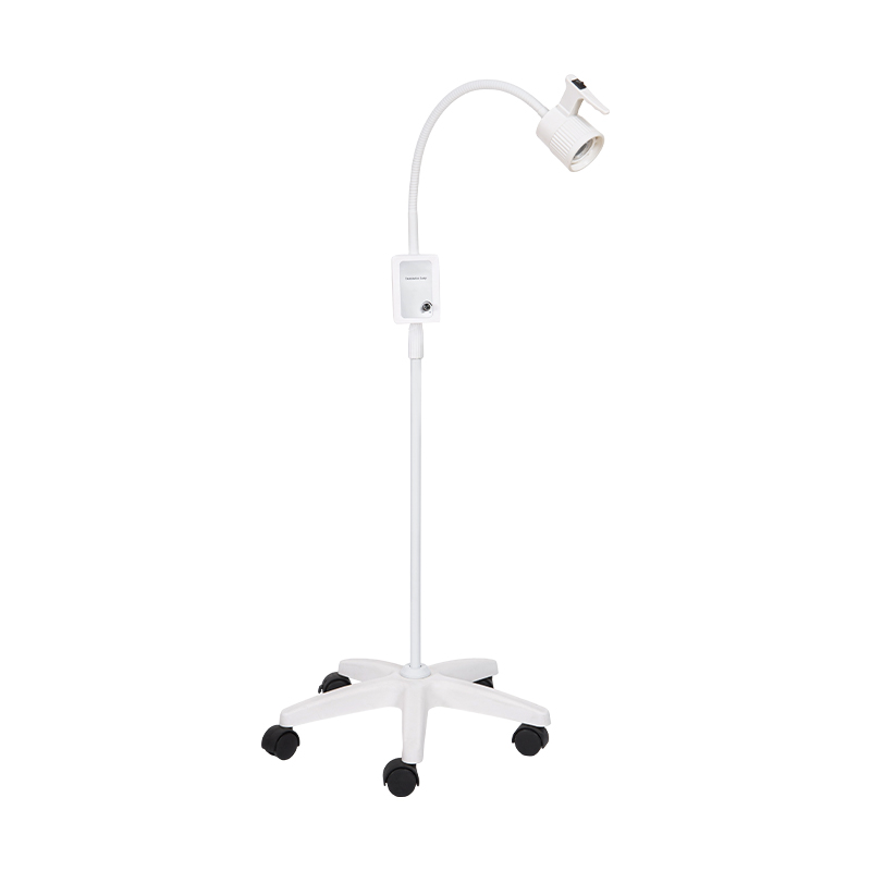 3W ingebouwde back-upbatterij LED-zwanenhalsonderzoekslamp