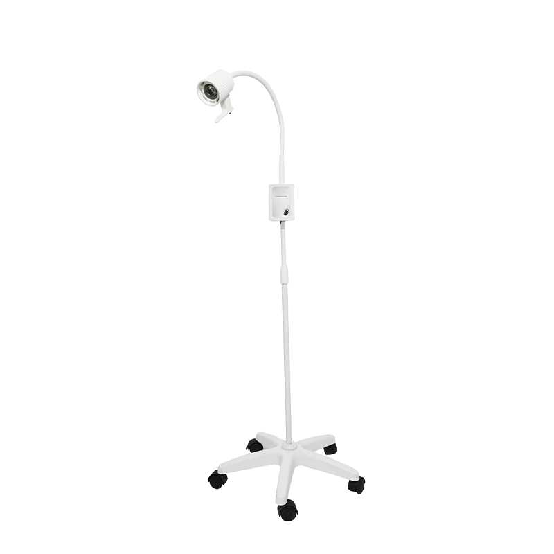 3W ingebouwde back-upbatterij LED-zwanenhalsonderzoekslamp