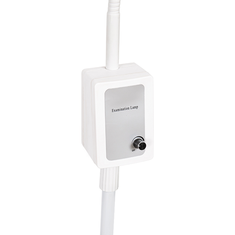 3W ingebouwde back-upbatterij LED-zwanenhalsonderzoekslamp
